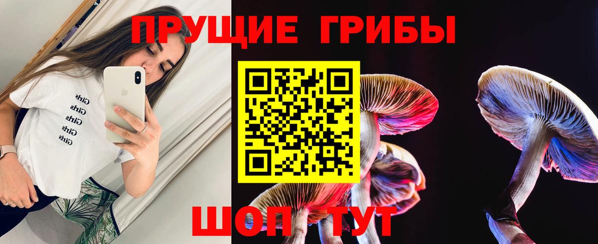 Галлюциногенные грибы MAGIC MUSHROOMS  Вход с VPN  Канск  Псилоцибиновые грибы Cubensis 